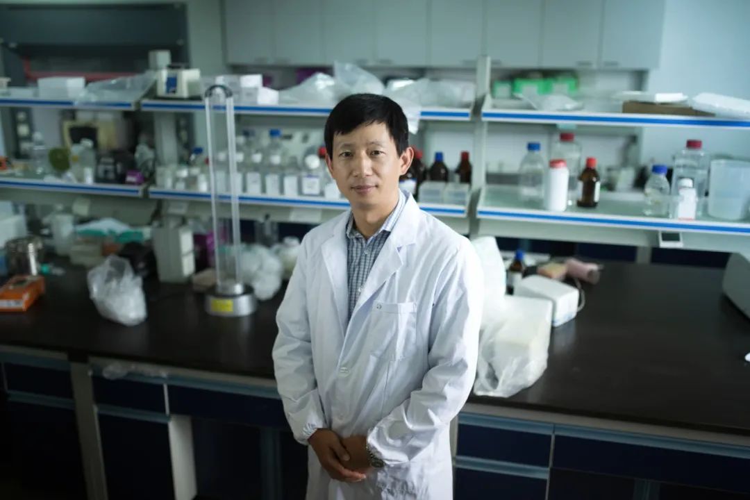 华东师大两位科学家入选首批“尚思探索学者”名单|生物医药|叶海峰|生命科学_新浪新闻